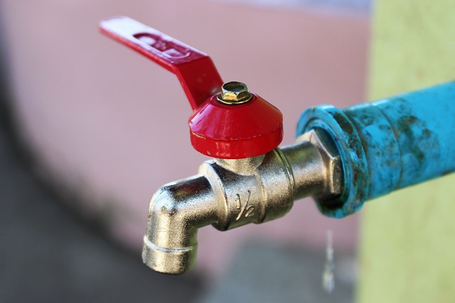 how to check for water leaks
